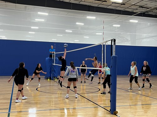 Volleyball game in Homecourt